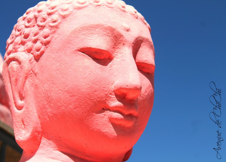 Buddha für Blog